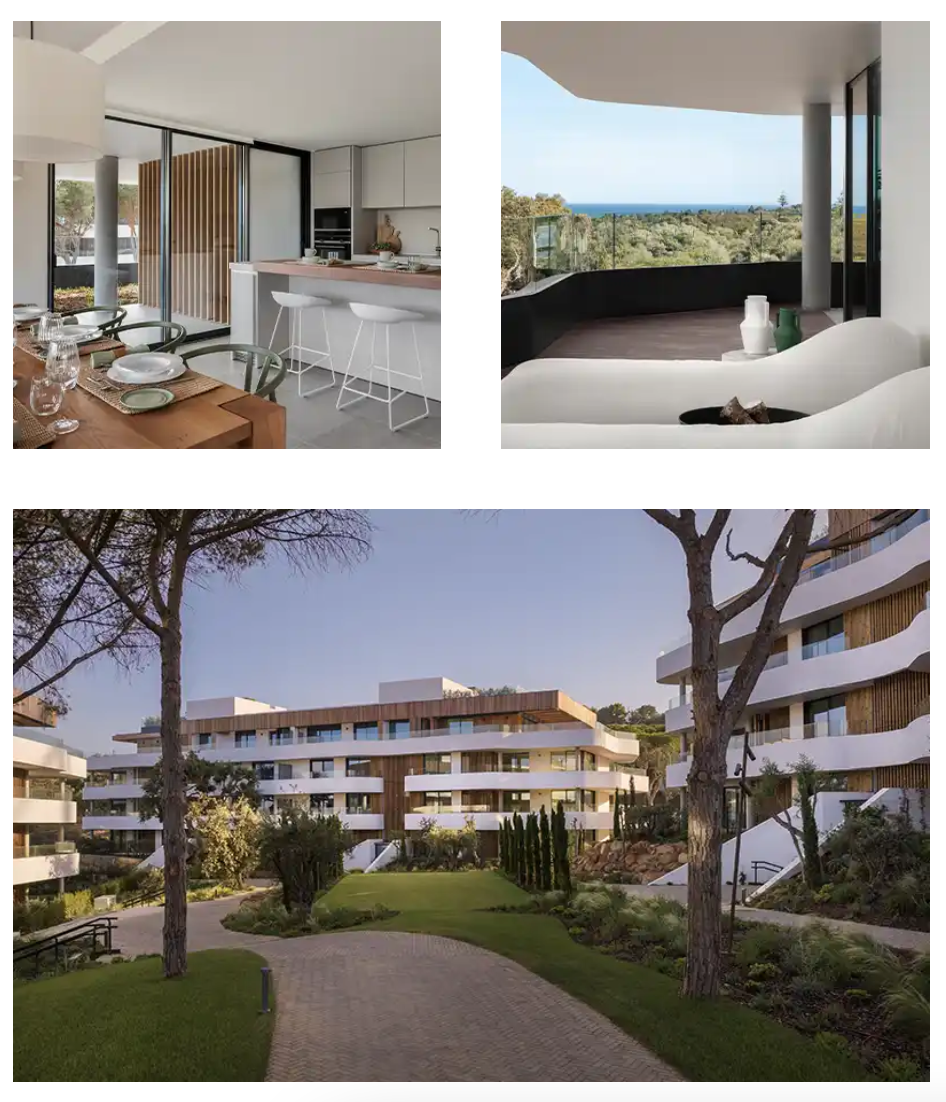 Captura de Pantalla 2024-11-13 a las 17.45.52